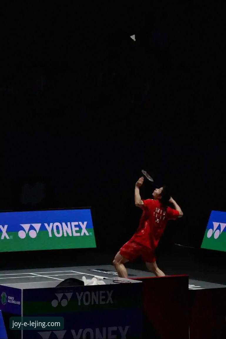 石宇奇亚锦赛夺冠技术详解