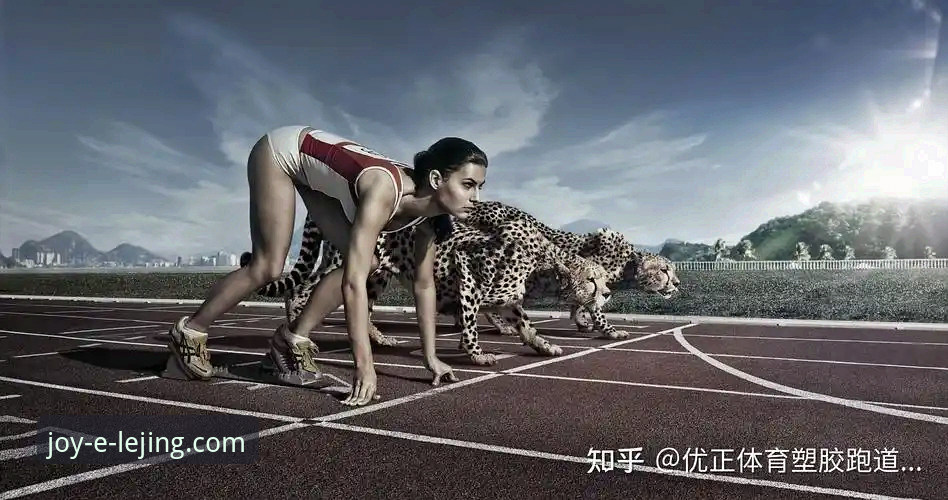 乐竟体育平台下载安装失败全面评测：根源分析与解决方案深度解析